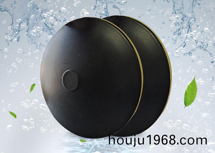 BPB薄(bao)盤型(xing)盤式(shi)曝(pu)氣器
